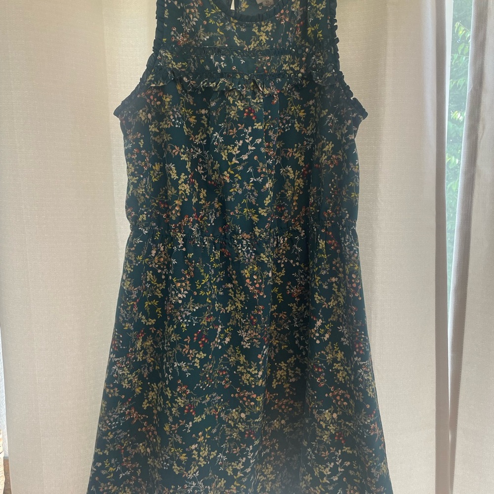 Merona Floral Sleeveless Dress